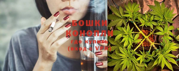 стафф Богородск