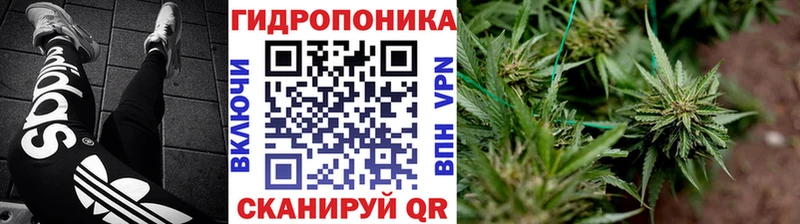 Купить закладки  Покровск  Конопля Bruce Banner 